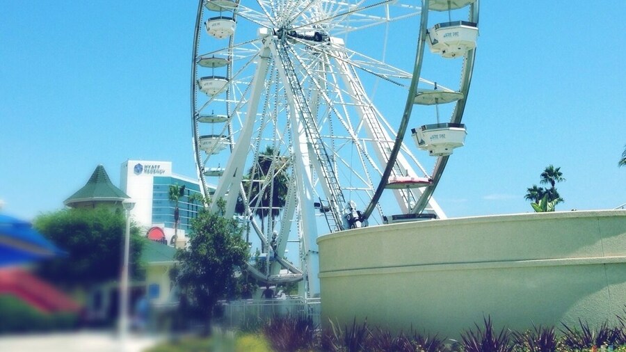A Ferris wheel & a merry go round is all that's left of the great amusement park "The Pike" in Long Beach.