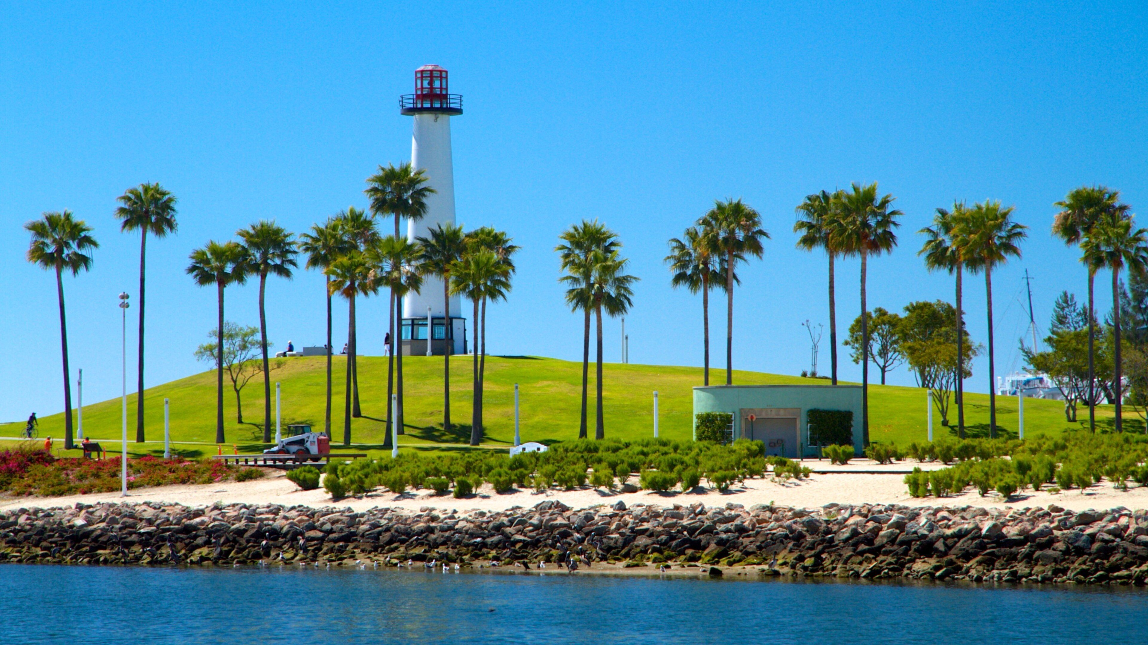 A lighthouse on a grassy hill with palm trees and a rocky shoreline.