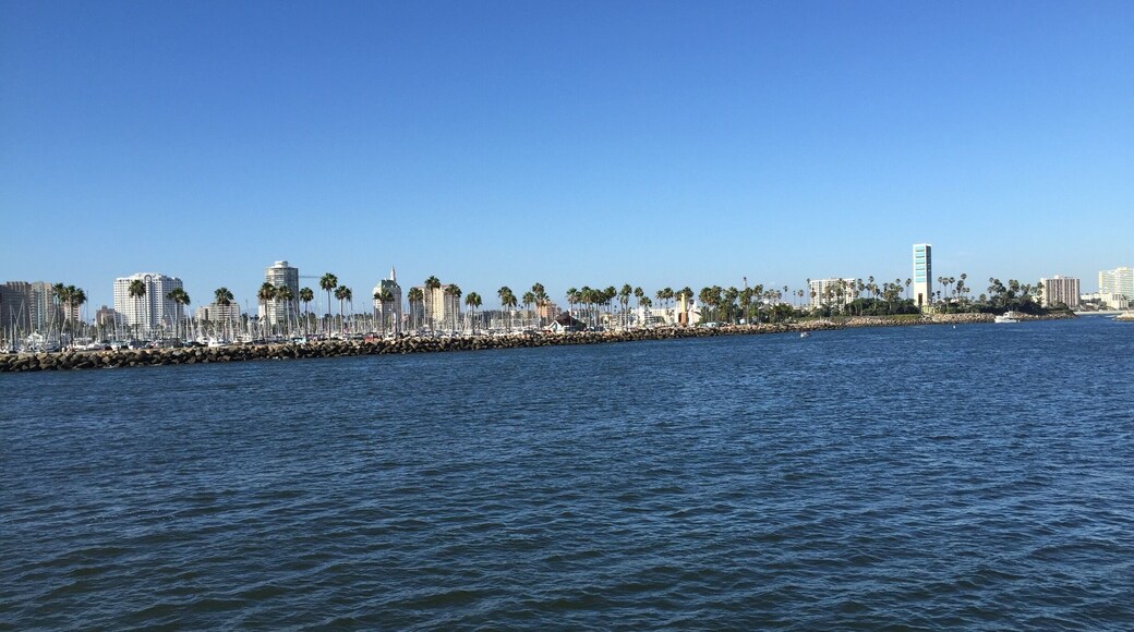 Great place to enjoy the summer #EndlessSummer #Long #Beach #California #Fun Excelente lugar para disfrutar el verano, playita, comida y diversión al máximo!