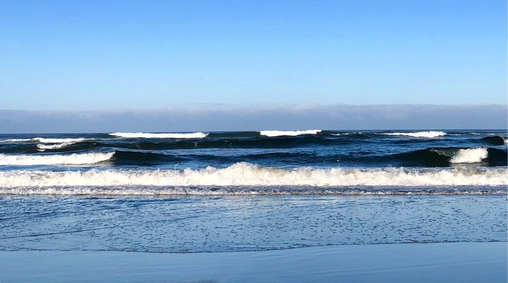 Highway 101. Beautiful day on the peninsula!