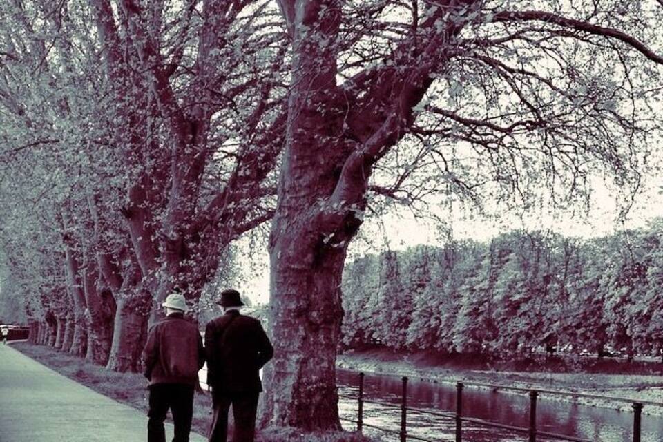 Dos personas caminando por un sendero al lado de un río, con árboles bordeando el camino.
