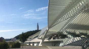 Particular from the left side of the train station in Liège. Work by Calatrava