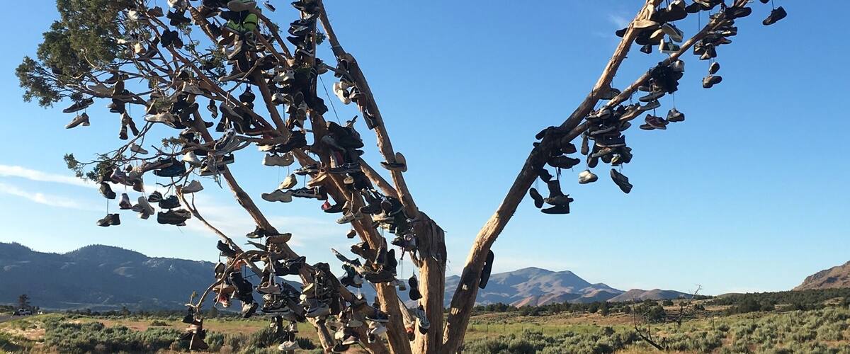 Okay so on my drive to #LakeTahoe I notice this tree just in the middle of no where in #California along #HWY395 and it's just filled with #Shoes and I don't know why. It's called The Shoe Tree where many paths have crossed. But I thought I was pretty #cool decided to pull over in my way back and take a #Picture lol the little things in life make me smile. #TravelNurse #Creole
