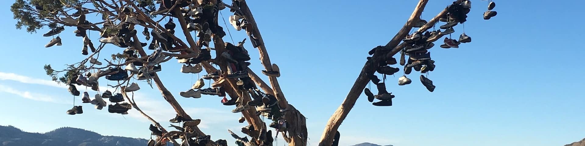 Okay so on my drive to #LakeTahoe I notice this tree just in the middle of no where in #California along #HWY395 and it's just filled with #Shoes and I don't know why. It's called The Shoe Tree where many paths have crossed. But I thought I was pretty #cool decided to pull over in my way back and take a #Picture lol the little things in life make me smile. #TravelNurse #Creole