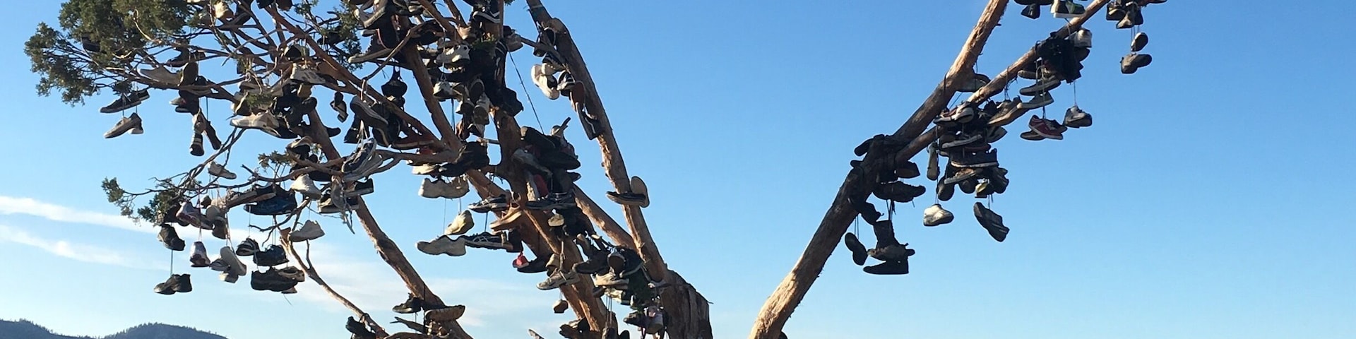 Okay so on my drive to #LakeTahoe I notice this tree just in the middle of no where in #California along #HWY395 and it's just filled with #Shoes and I don't know why. It's called The Shoe Tree where many paths have crossed. But I thought I was pretty #cool decided to pull over in my way back and take a #Picture lol the little things in life make me smile. #TravelNurse #Creole