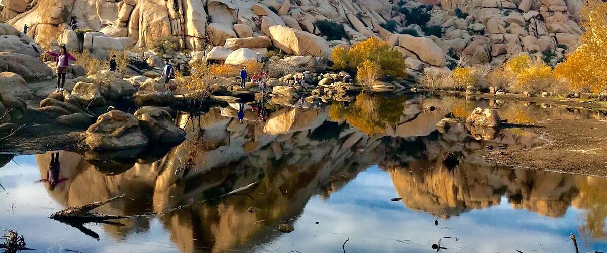 Paradise on earth❤️
Barker dam is in Joshua national park, it's so clean that you can see the reflection like a mirror🤷♀️..
it's a mile hike to dam .
It's the best reflection I have seen, so mesmerized with the beauty of nature.