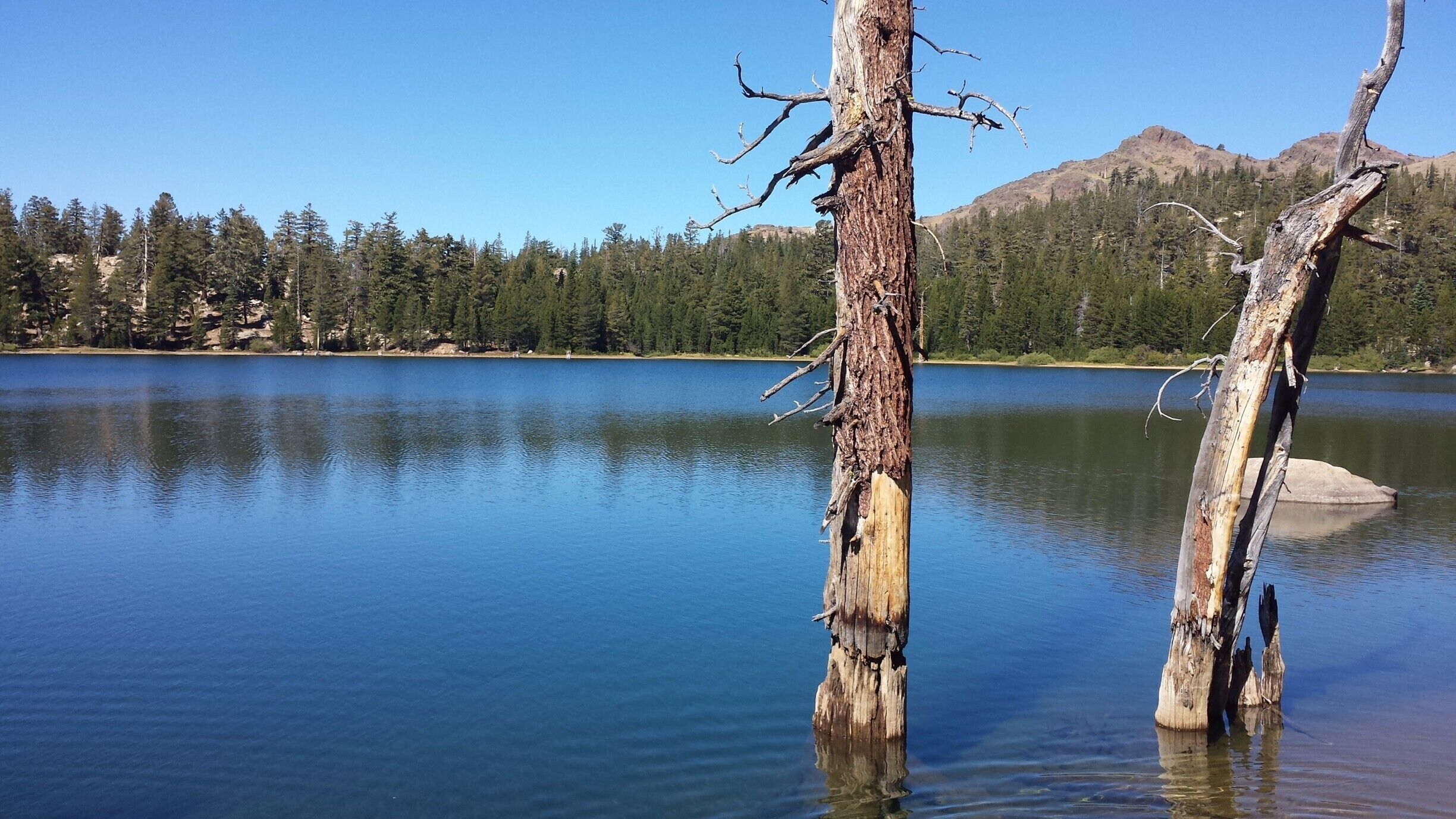 Upper Kinney Lake is just off the PCT off HWY 4, between Markleville Ca, and Bear Valley.  Fantastic short backpacking trip for over night camping or great day hike for a loop of lakes in the High Sierra off Ebbetts Pass on HWY 4. 
Looking for a day adventure in Alpine County or within an hour of South Lake Tahoe.