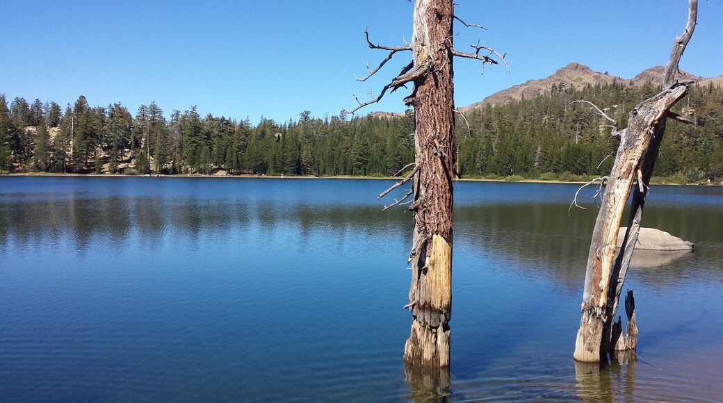 Upper Kinney Lake is just off the PCT off HWY 4, between Markleville Ca, and Bear Valley. Fantastic short backpacking trip for over night camping or great day hike for a loop of lakes in the High Sierra off Ebbetts Pass on HWY 4.
Looking for a day adventure in Alpine County or within an hour of South Lake Tahoe.