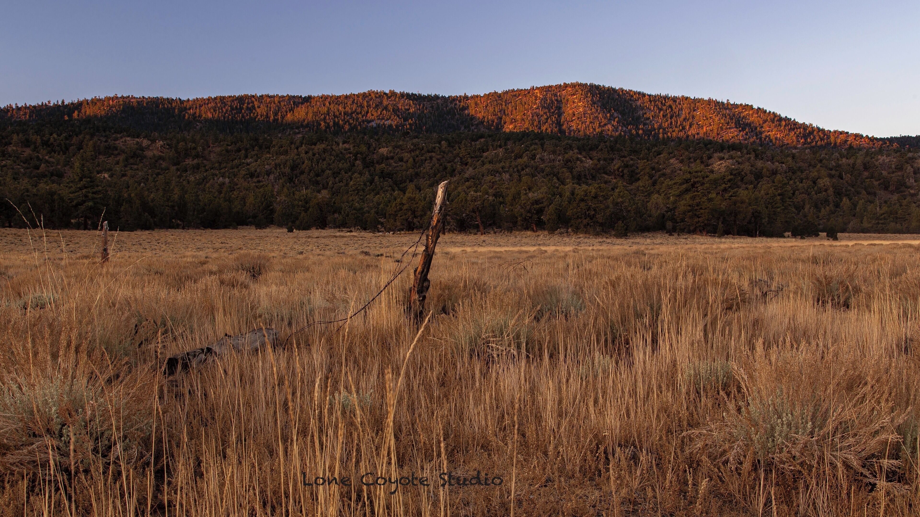 As I was walking through a mountain meadow, I was humbled by the serenity of the silence in the brisk morning air.  I came across the remnant of an old fence post being the only sign of what the meadow was used for in years past.  It reminded me of the strength of the people that lived there before.  To be able to scratch out a living in an area that even by today's standards, is still considered remote and isolated is truly amazing.  






#4x4photography #bigbearmountain #mountainmeadow #mountainsage #nealdodson #sierrsmountains  #junipersprings #fenceposts #ruralphotography #ruralcountry #fallmornings #wintermornings #lonecoyotestudio #mountainmornings #sanbernardinomountains #offroadphotography #sanbernardinonationalforest #bigbearadventures #wonderingphotographies #offroadtrip #offroadadventures #forestserviceroad #predawn #thrivingchristianartists #risingsun #sierameadows #redmountain #mountaincamping #wildernesscamping #juniperspringsgroupcampgrounds #history