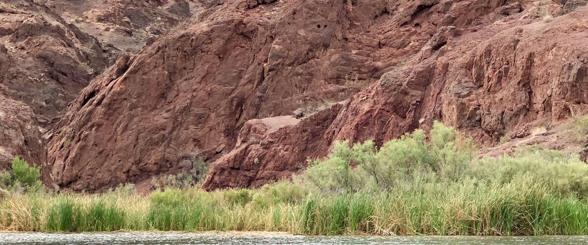 The Colorado river runs through this section of the Refuge and the area is called Topock Canyon. It is only accessible by boat or by plane.