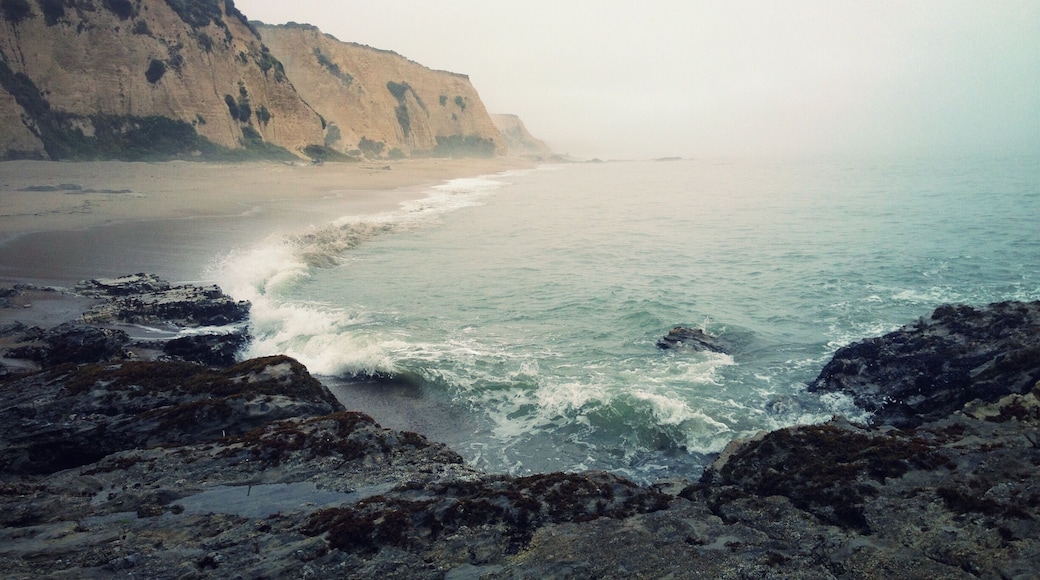 Sculptured Beach on a quiet, foggy morning