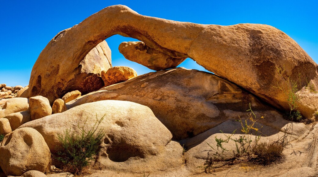 The famous Arch Rock captured on a sunny day - almost 105 F. Missed the sunrise, got lost searching for this view, forgot to bring water and chose a shortcut that brought me to a different trail and path. In the end, after one hour of searching, there it is - Arch Rock