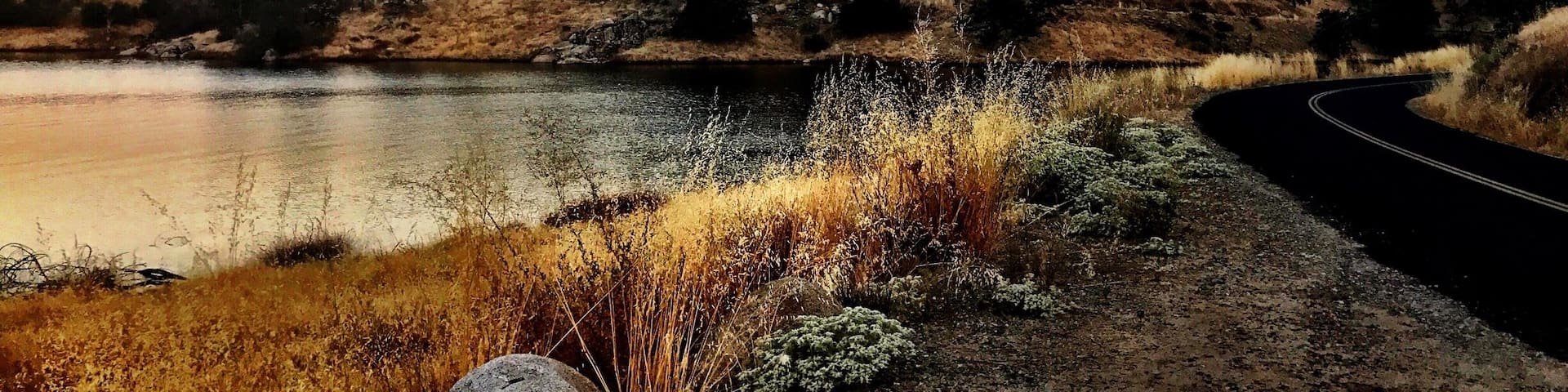 Near Buzzard's Roost Trail @Millerton Lake early morning hike
#TakeAHike #NaturesBeauty #GetOutside #SaveOurPlanetDoYourPart #LightingIsEverything #TheGreatOutdoors #NaturalLight