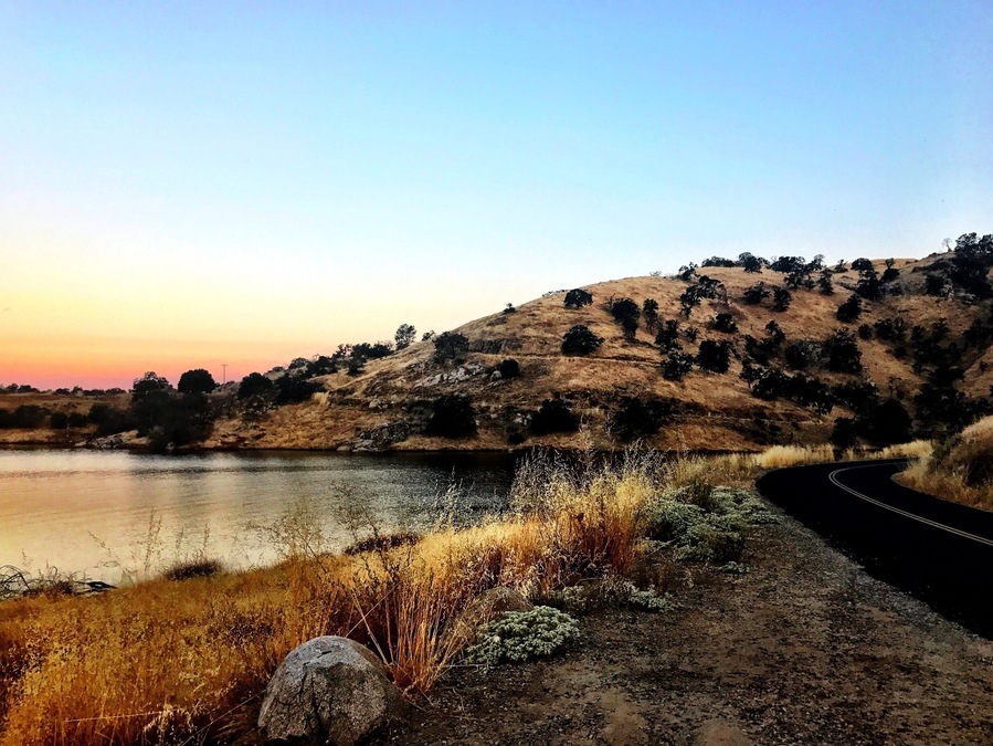 Near Buzzard's Roost Trail @Millerton Lake early morning hike 
#TakeAHike #NaturesBeauty #GetOutside #SaveOurPlanetDoYourPart #LightingIsEverything #TheGreatOutdoors #NaturalLight