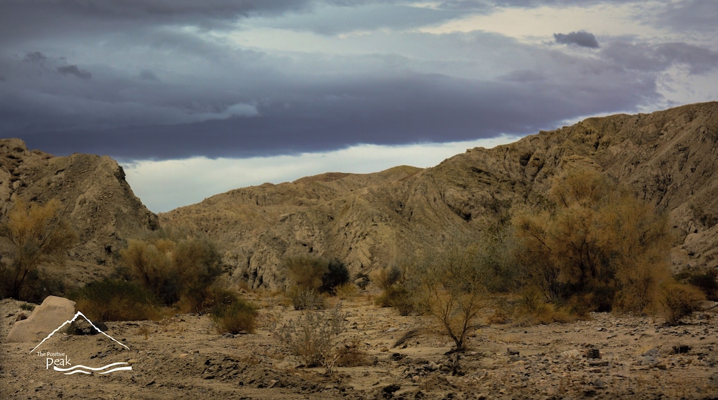 “Box Canyon/ladder Canyon”. Box Canyon hike is a gorgeous trip into a beautiful canyon.
The landscape and drive through are breathtaking. Lots of room for boondocking all along Box Canyon Rd. Very neat area. We parked in the shade of a cliff. Looks kind of like you are on the moon. A very unique landscape. At twilight there were lots of bats flying around. Box Canyon road itself is paved but the camping areas are located a few hundred feet off road. Sand can be loose. We didn't need 4x4, but you need to look before you leap. There are plenty of roads to explore if you do have 4x4.
This is a flash flood area. The whole box canyon road is. Do not come here if there is any chance of rain. Be aware of the weather in the surrounding area.
#gray #rocks #califorina #mountians #dry #faultline #maze #canyon #hiking #free #camping #storm #flooding #fun