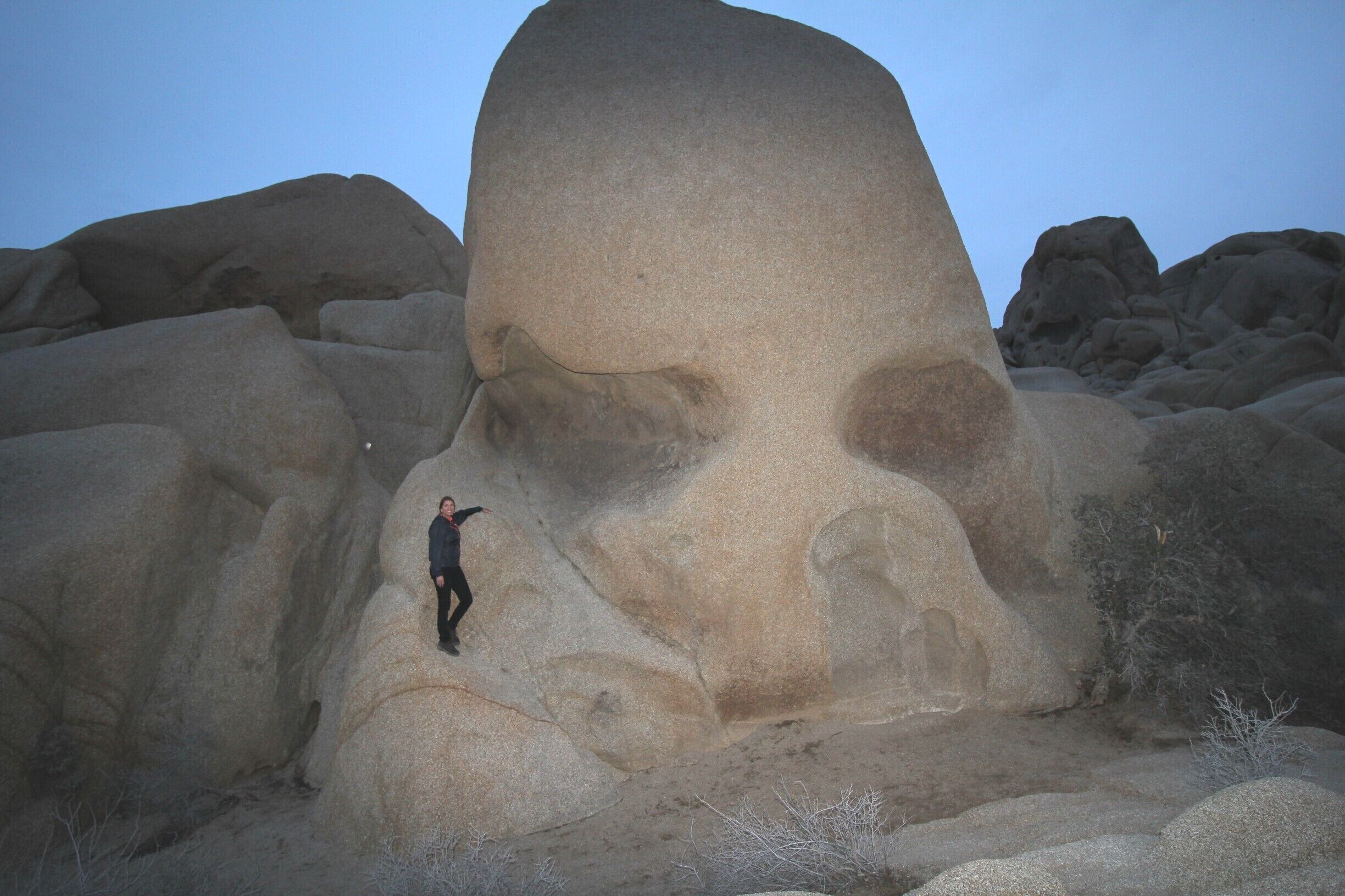 Skull Rock in Joshua Tree National Park, just another cool thing about the Palm Springs area.

See more pictures and ideas about this area in our blog post:
http://rvluckyorwhat.com/2015/05/08/where-would-you-live-if-you-could-work-from-anywhere

#skull
#trail
#hiking
#joshuatree
#nationalpark
#rock
#California
#travel
#Ustravel