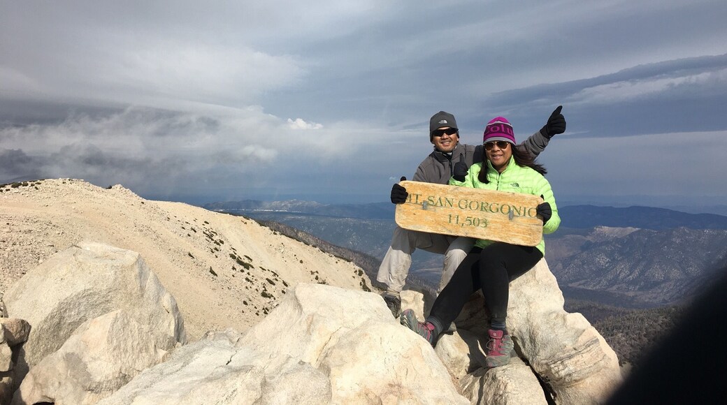 Summiting San Gorgonio Peak at 11,503ft elevation, the highest in Southern California, 17.7 miles, 5,849ft elevation gain. A tough and challenging hike with steep inclines, a lot of switchbacks but awesome views and trails. Not for the faint of heart. An intense hike that can prepare you for Mt Whitney!!⛰⛰