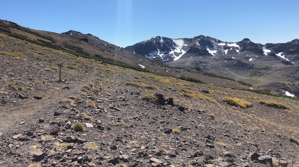 Climb to the top where Emigrant Wilderness meets Stanislaus National Forest on the Pacific Crest Trail. Lots of snow for September. Beautiful views all around. #Adventure