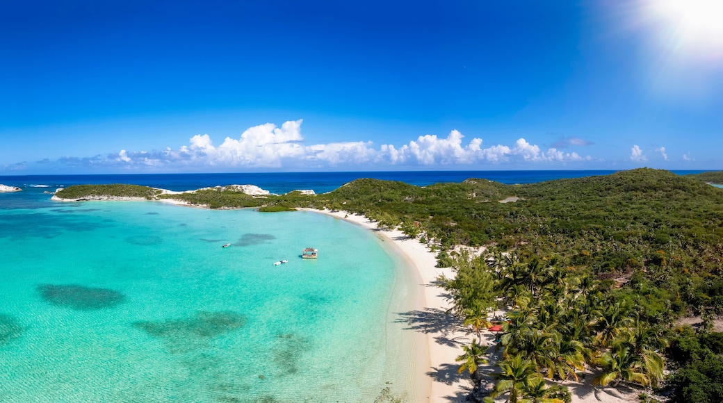 The beautiful Stingray Beach at the north of Long Island, The Bahamas, with tropical palm trees and turquoise sea