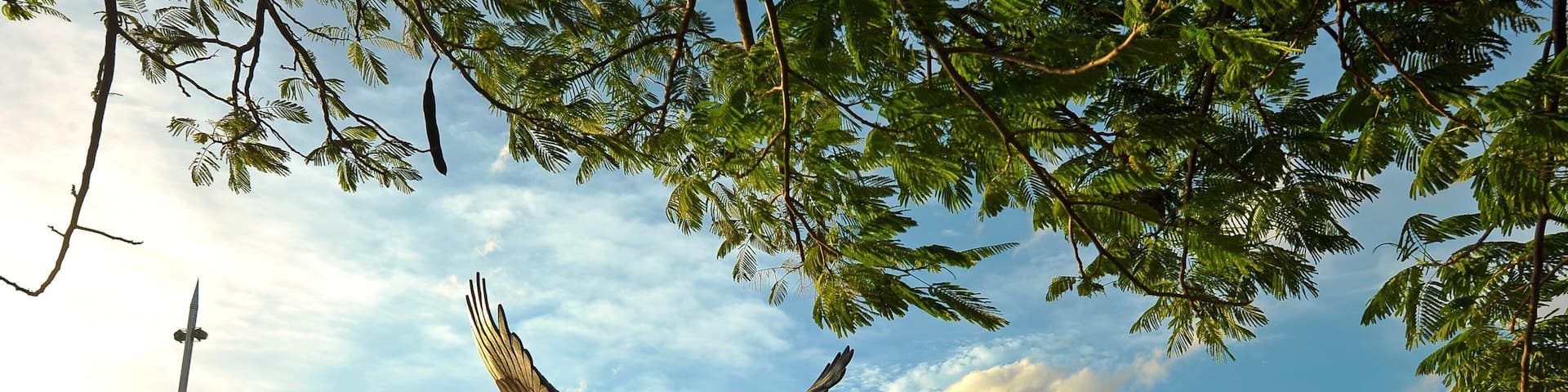Langkawi featuring a sunset, a monument and street scenes