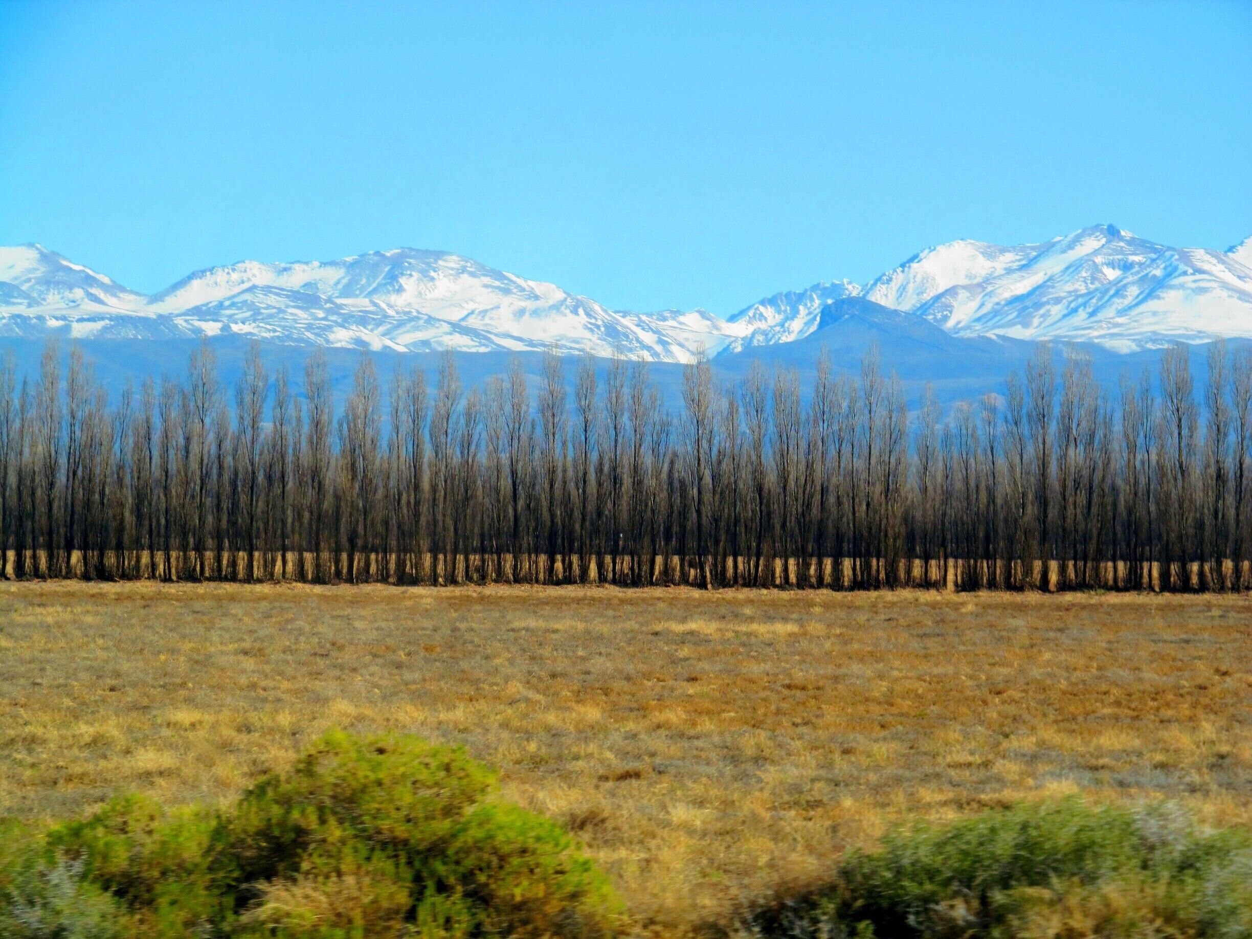 Malargüe Department