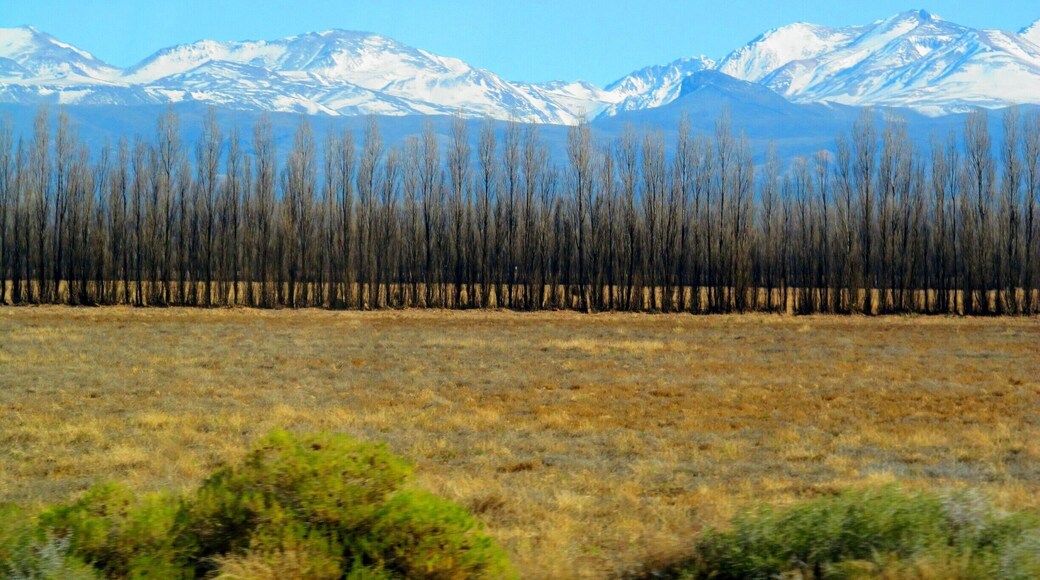 Malargüe Department