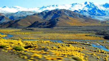 A mountainous landscape with snow-capped peaks and a foreground of yellow vegetation.