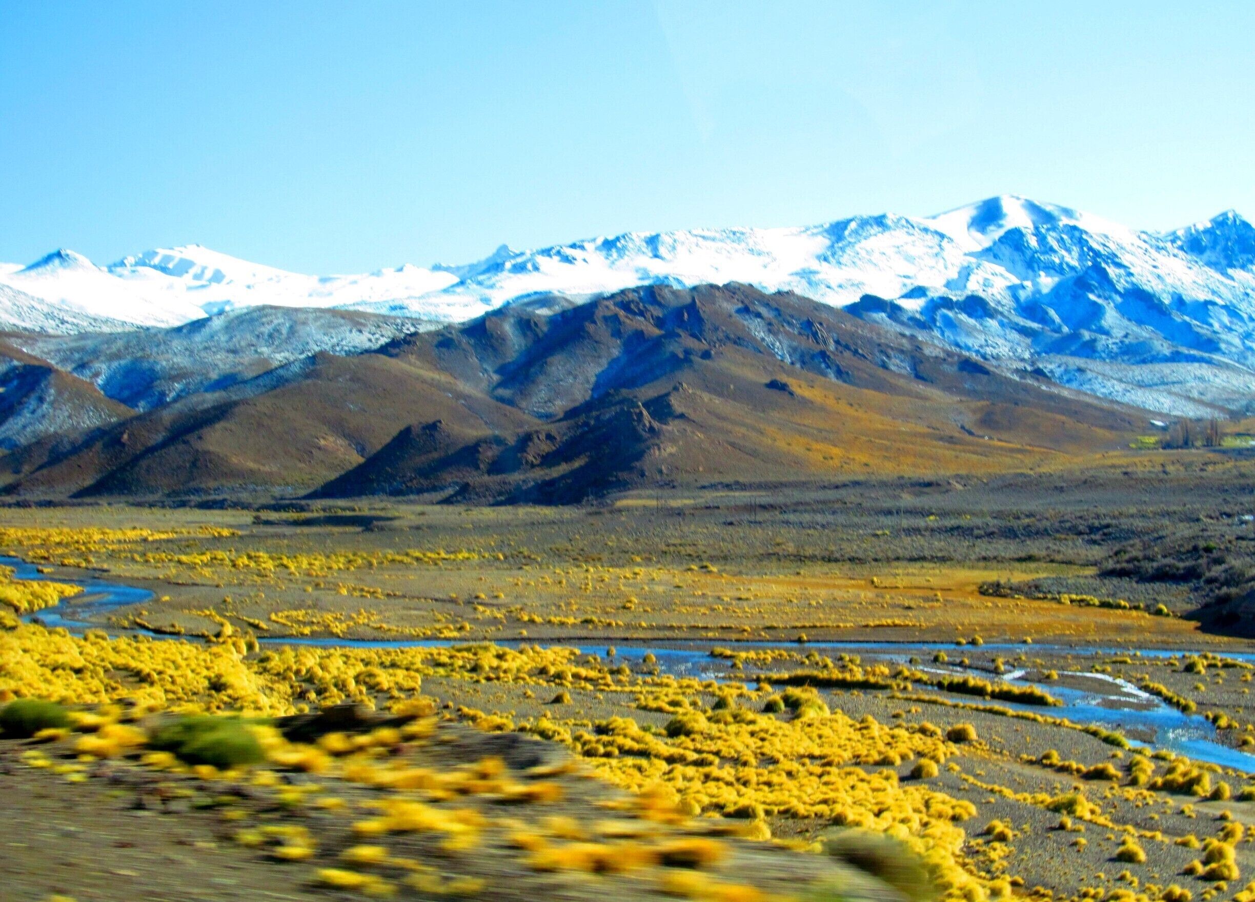 A mountainous landscape with snow-capped peaks and a foreground of yellow vegetation.