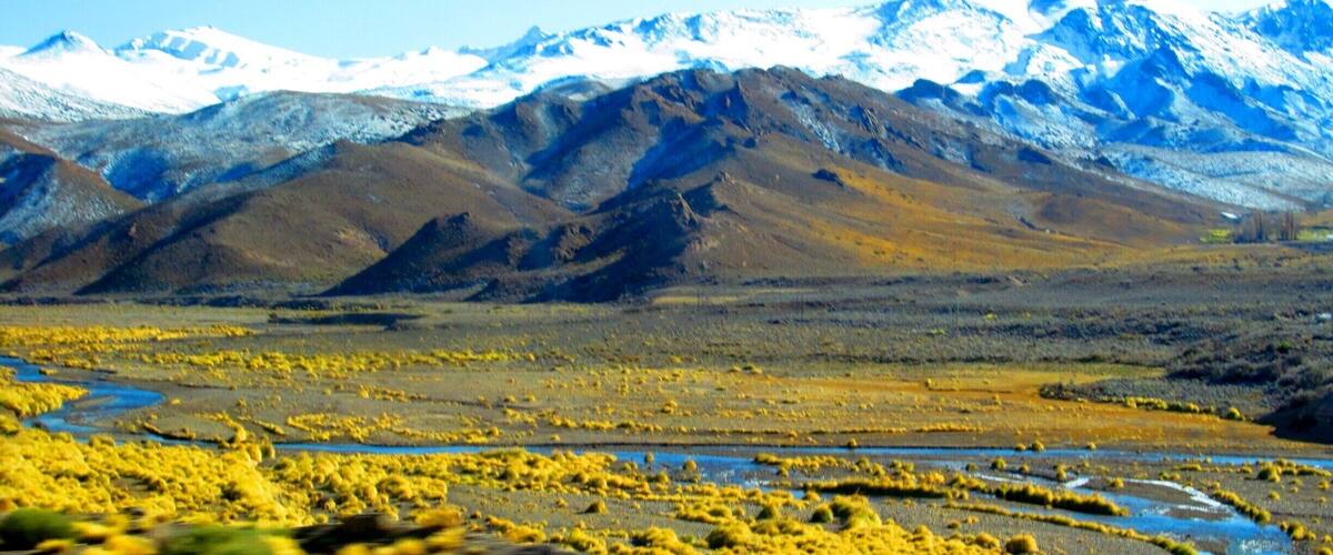 A mountainous landscape with snow-capped peaks and a foreground of yellow vegetation.