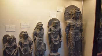 Lahore Museum has extensive Buddha collection.