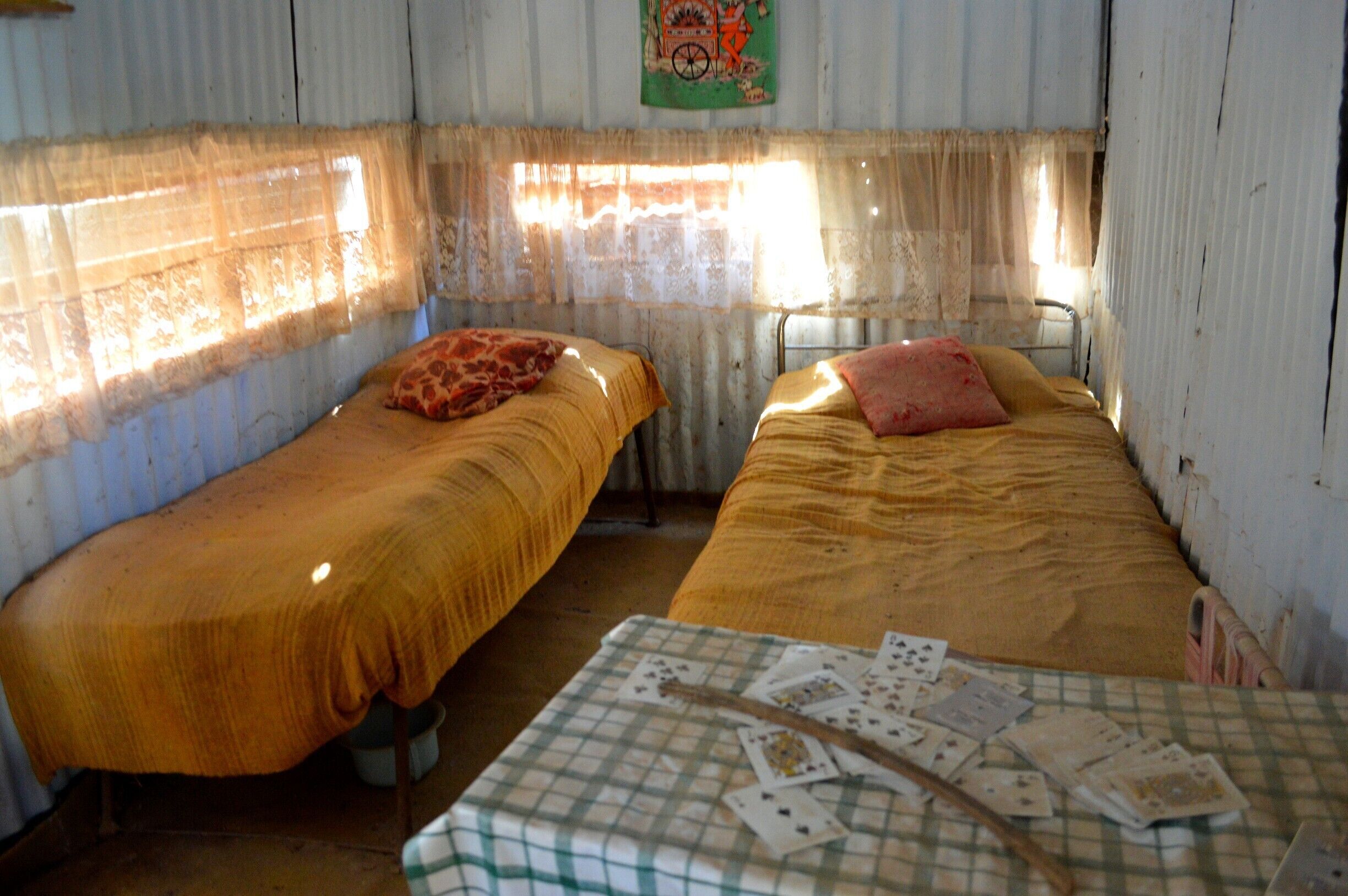 Sleeping quarters in Fred Bodels' Camp.
