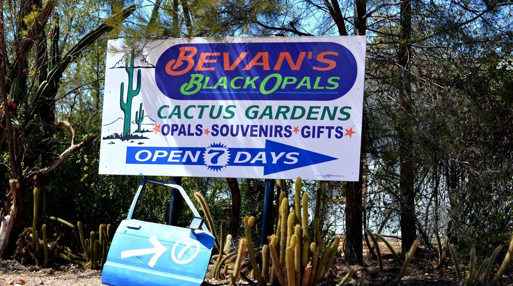 Bevan's Cactus Garden is the largest collection of Cacti in the Southern Hemisphere. Worth a visit.
John and Elizabeth Bevan established this garden back in 1966. Elizabeth still maintains the gardens as John passed away in 2004 and these gardens are now a living memory of him.