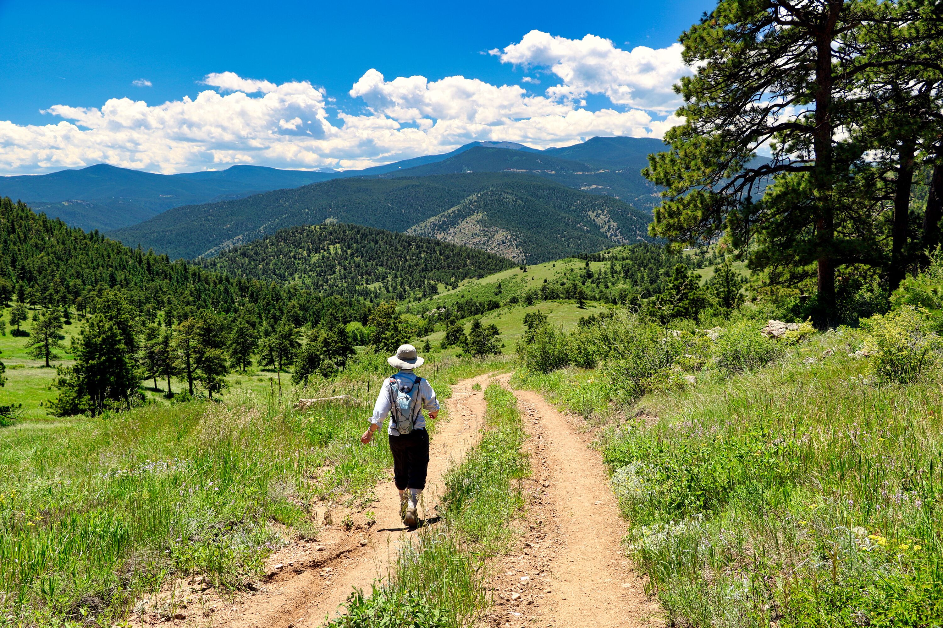 A hiker on a dirt path surrounded by green hills and trees under a blue sky with clouds.
