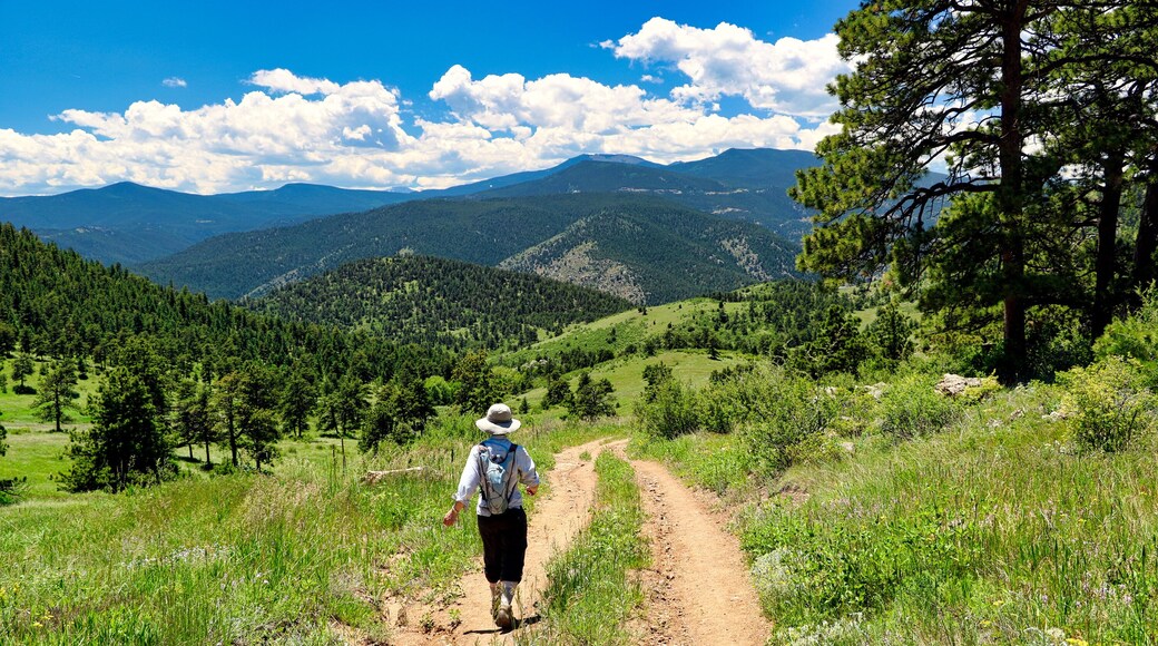 A hiker on a dirt path surrounded by green hills and trees under a blue sky with clouds.
