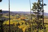 Looking out on the beauty of the upcoming fall, in the Grand Mesa area of Colorado.