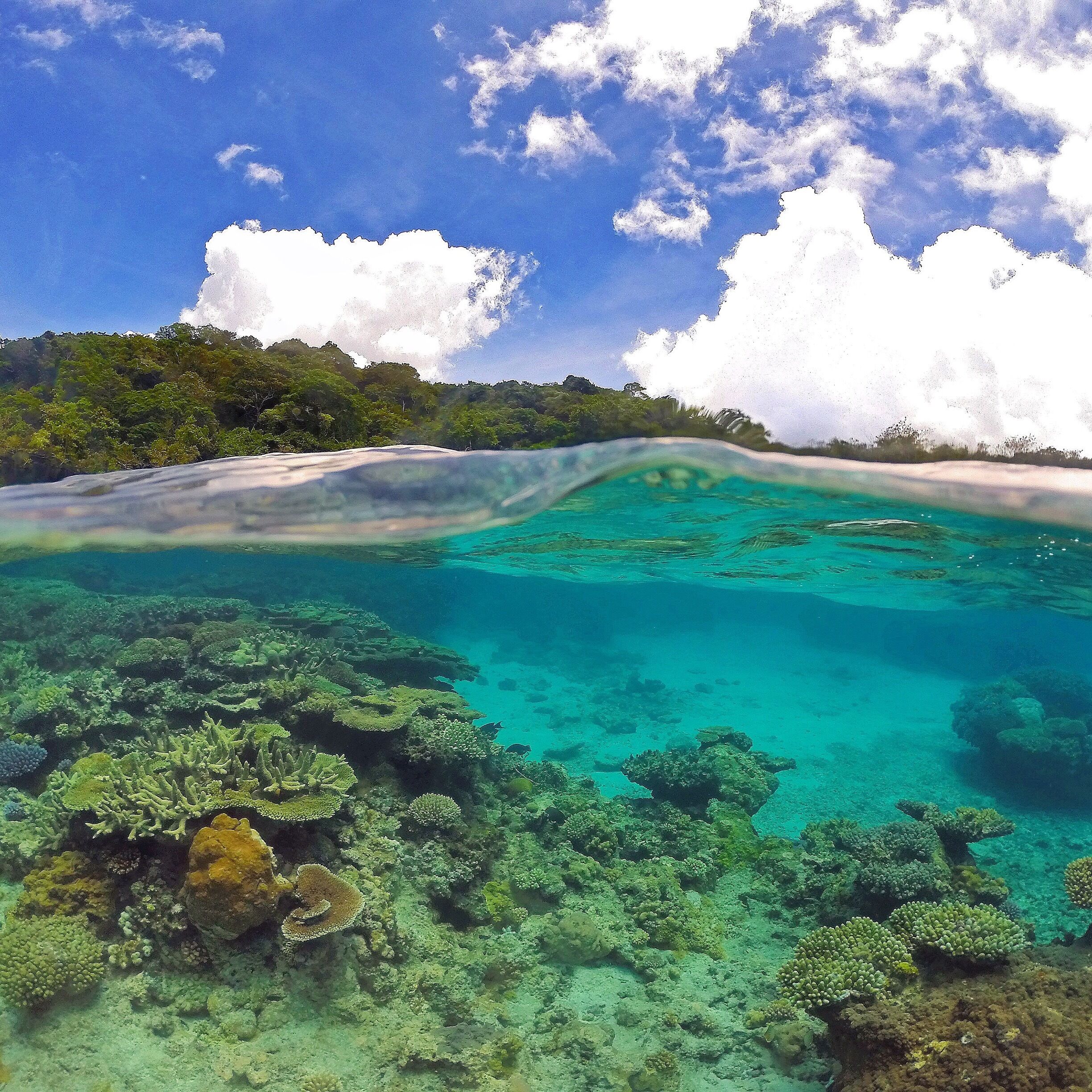 A clear blue sea with coral reefs, a sandy beach, and a forested island in the background.
