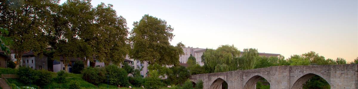 Limoges showing a sunset, a bridge and wildflowers