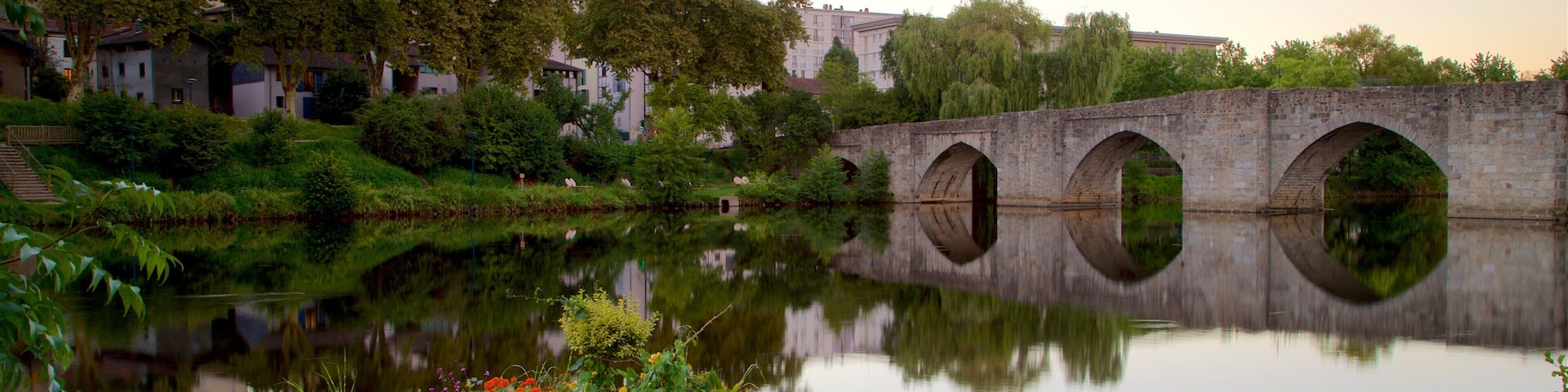 Limoges showing a sunset, a bridge and wildflowers