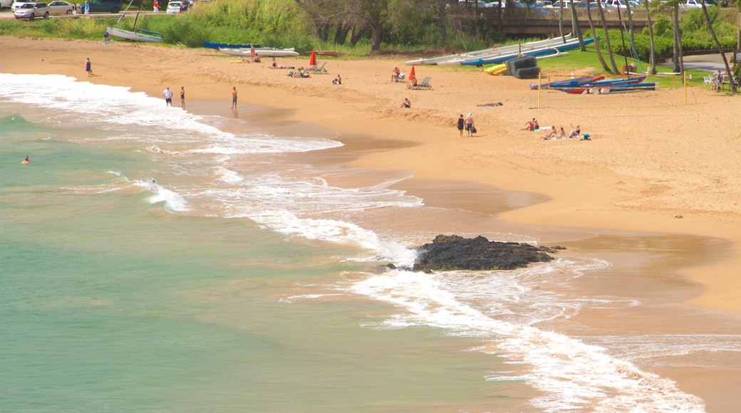 Lihue which includes a sandy beach