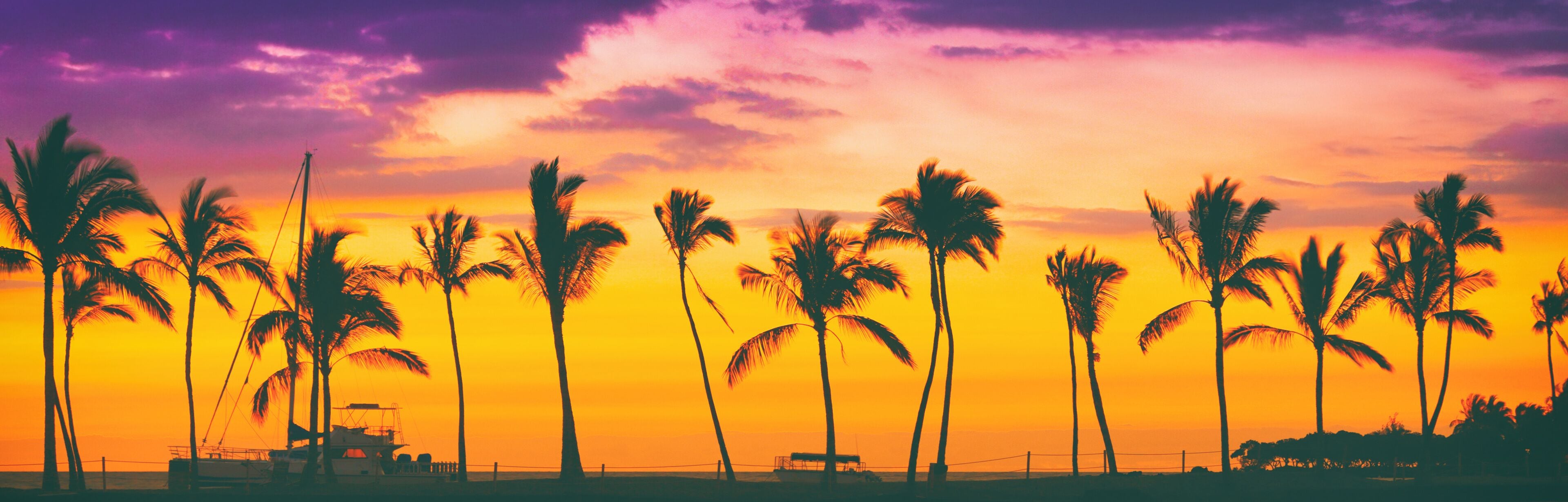 A sunset with palm trees silhouetted against a vibrant sky.