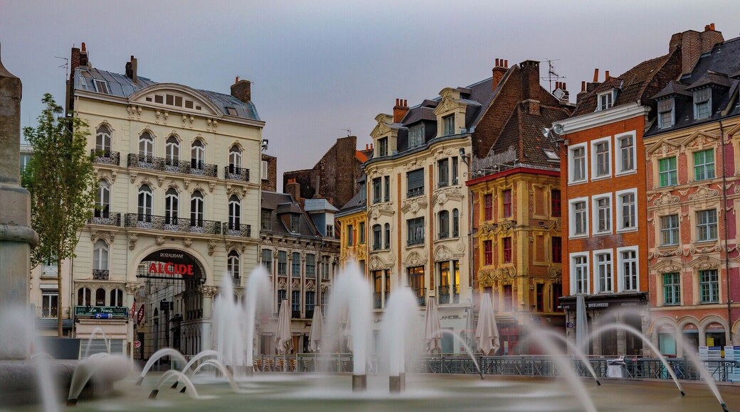 Métropole Européenne de Lille