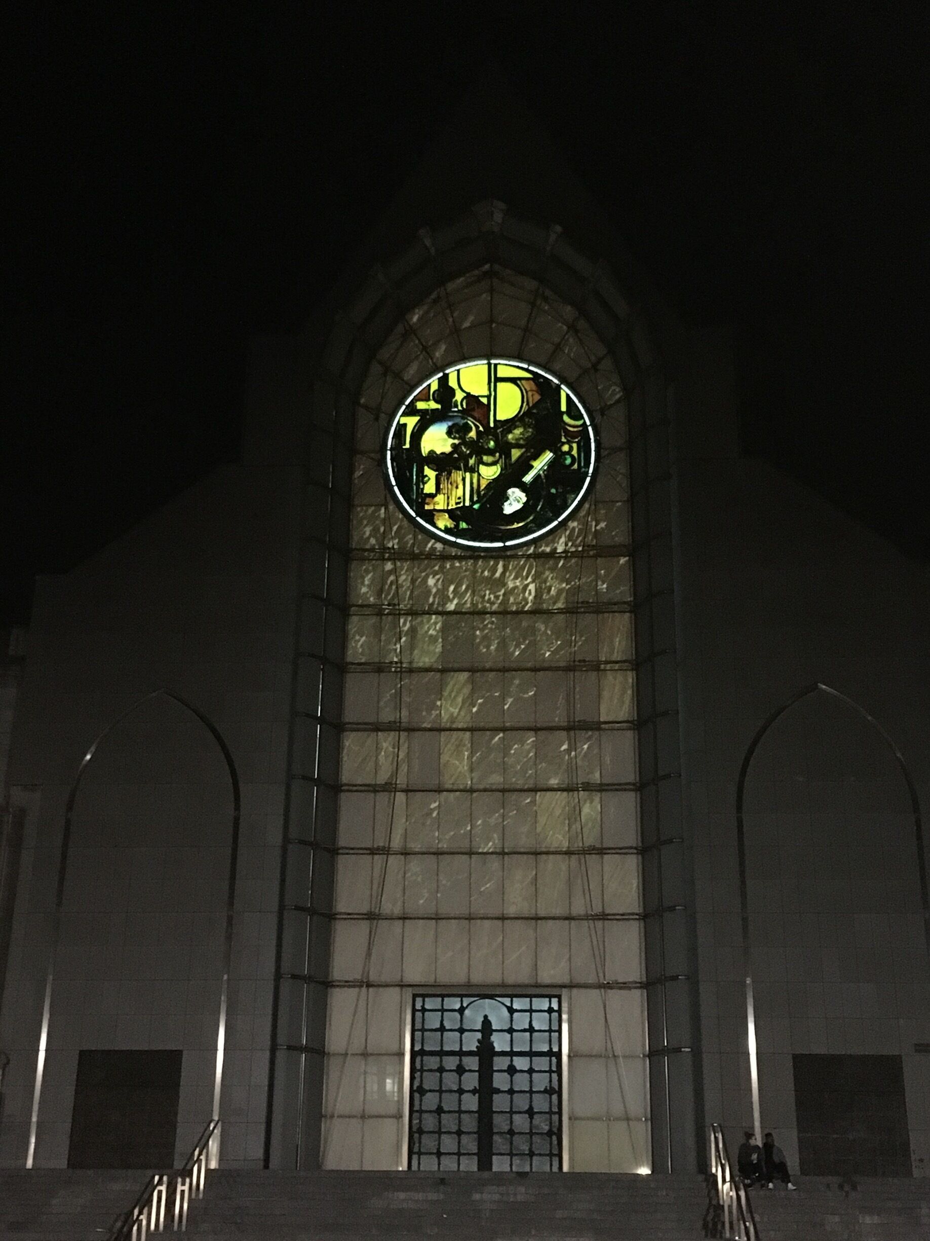Lille Cathedral at night