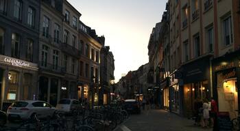 Lille is super cute. Looking at this picture makes me wish I was back there walking around during twilight.
I don't think there's much to do in Lille besides walk around and absorb its charm, though there is plenty of shopping. It's such a pleasant town.
Stay two nights.
2018-Apr-20