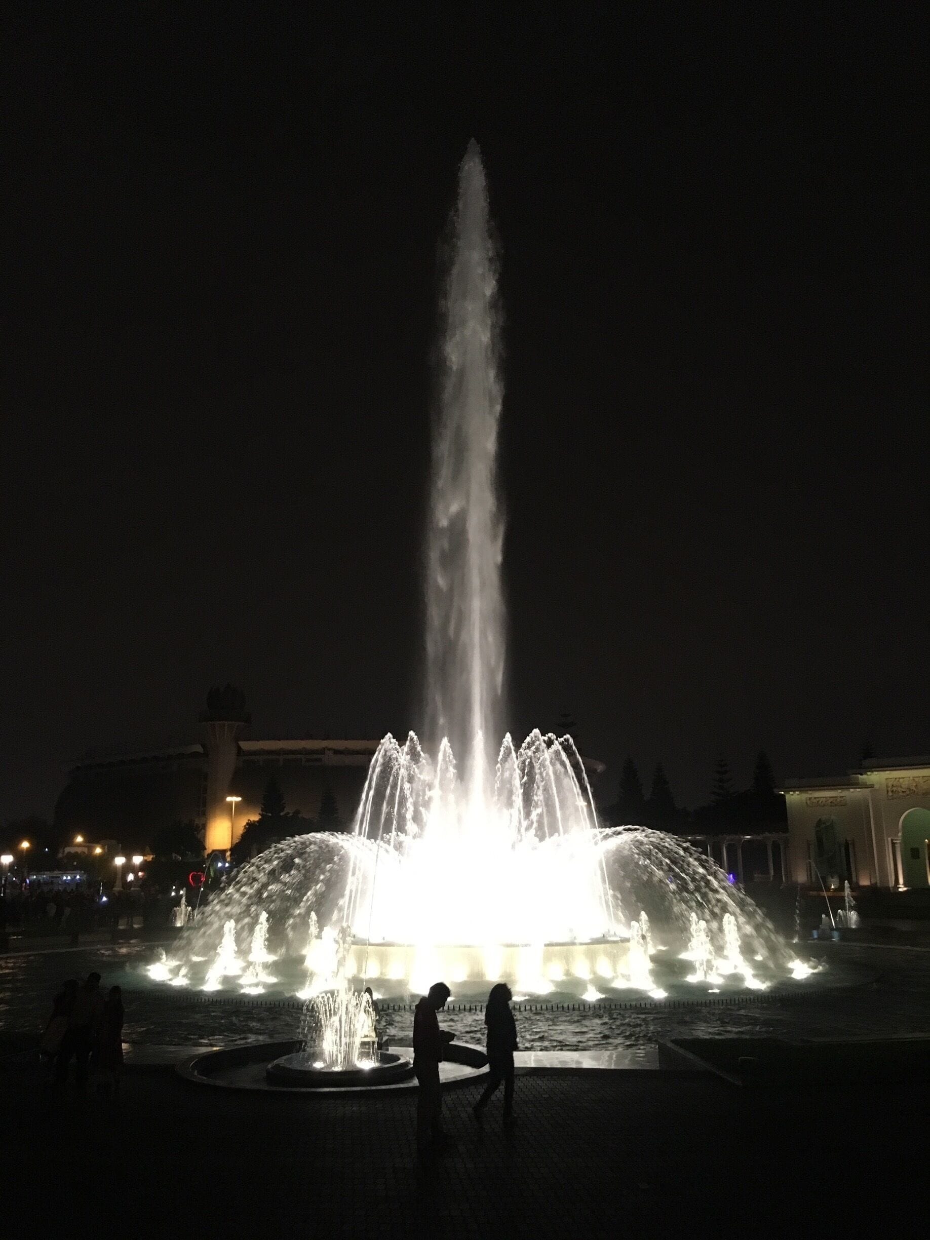One of the many fountains in the park