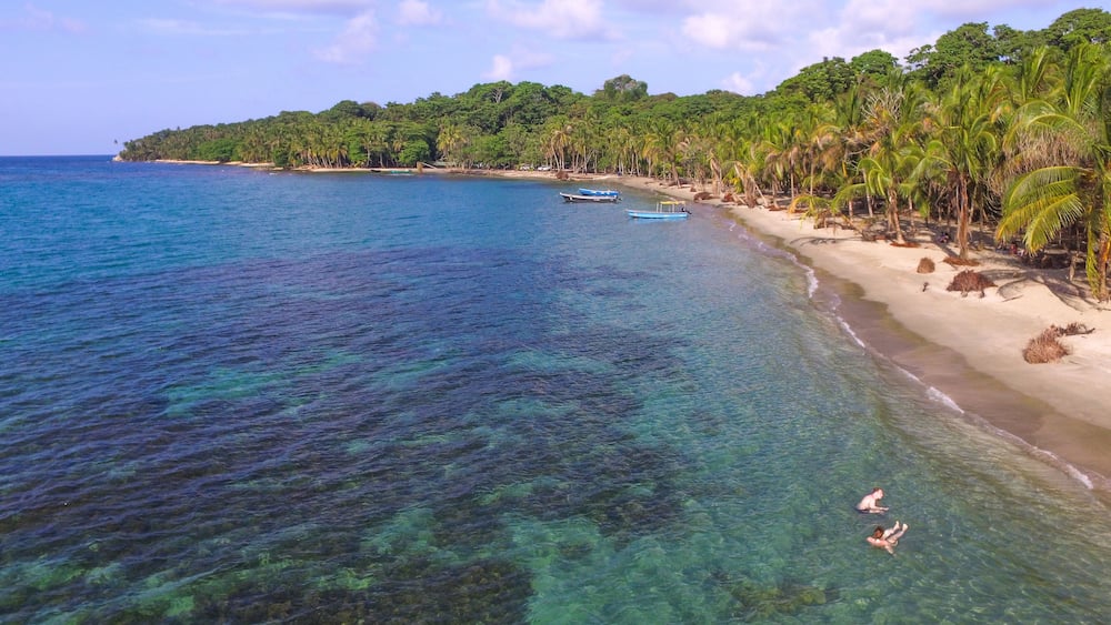 A tropical beach with clear blue water, palm trees, and boats.