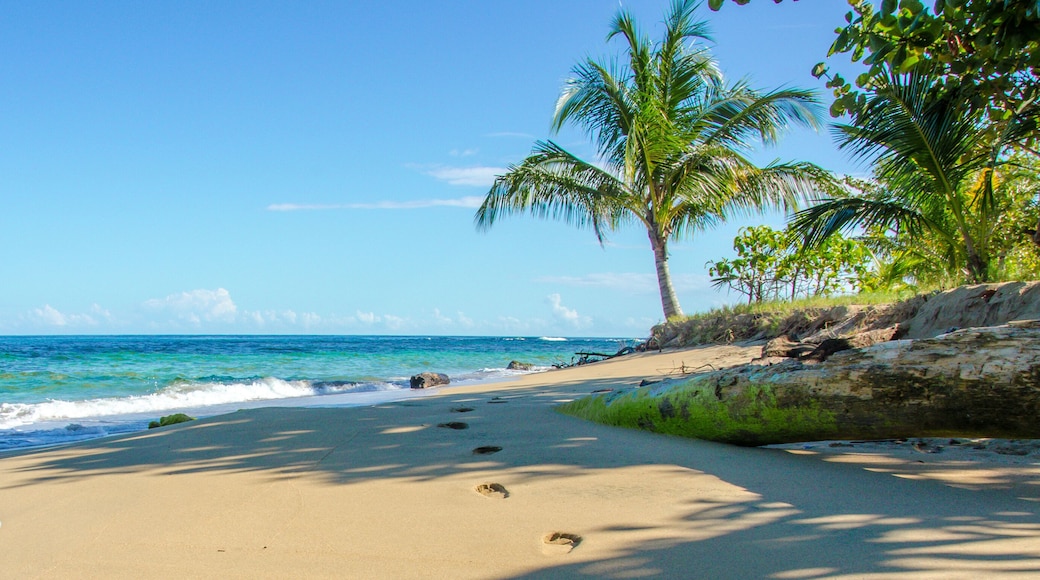 Caribbean beach of Costa Rica close to Puerto Viejo