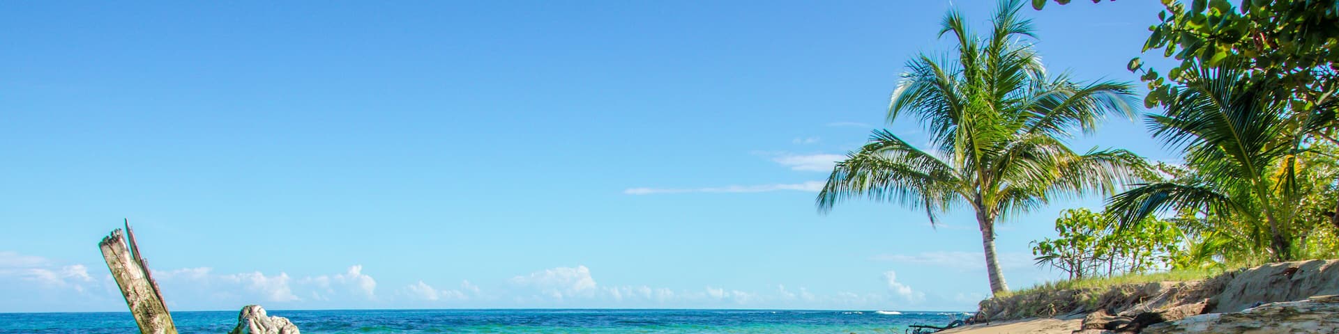 A beach with clear blue water, a sandy shore, and palm trees.