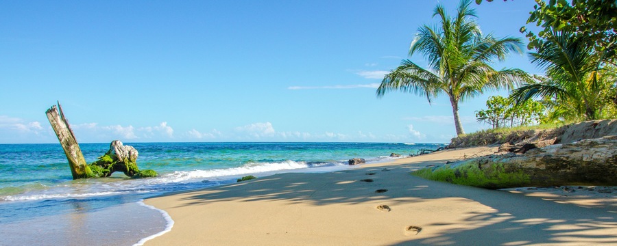 Caribbean beach of Costa Rica close to Puerto Viejo