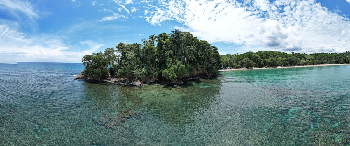 A clear blue sea, a small island with dense green foliage, and a sandy beach.