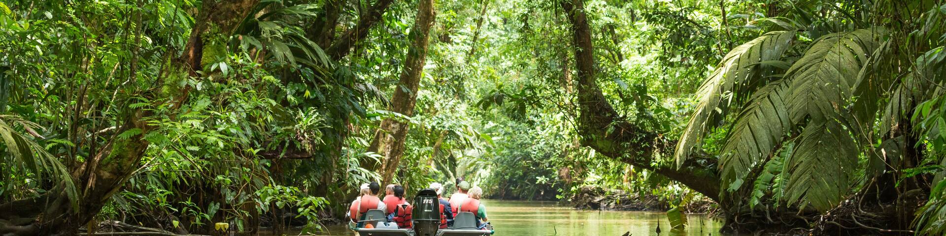 A group of people in a boat surrounded by dense, green forest.